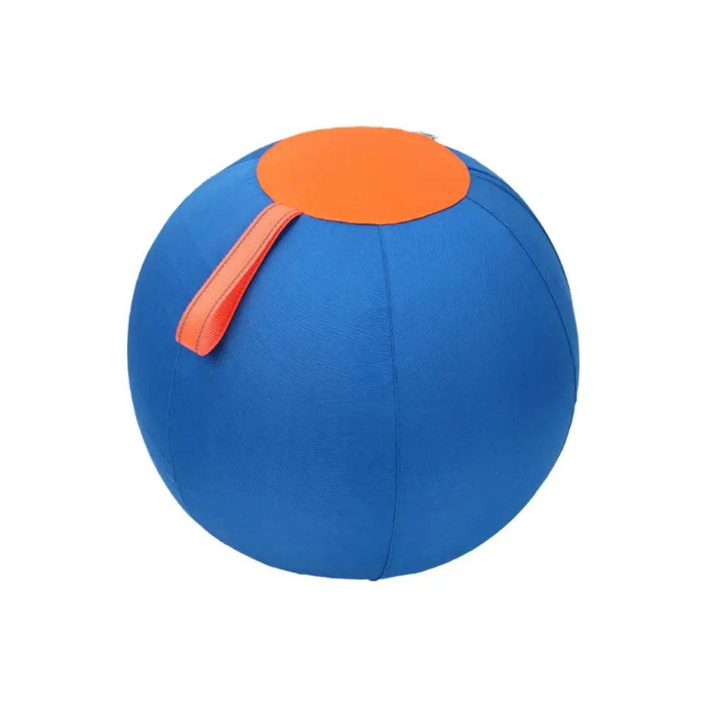 Pet Herding Ball