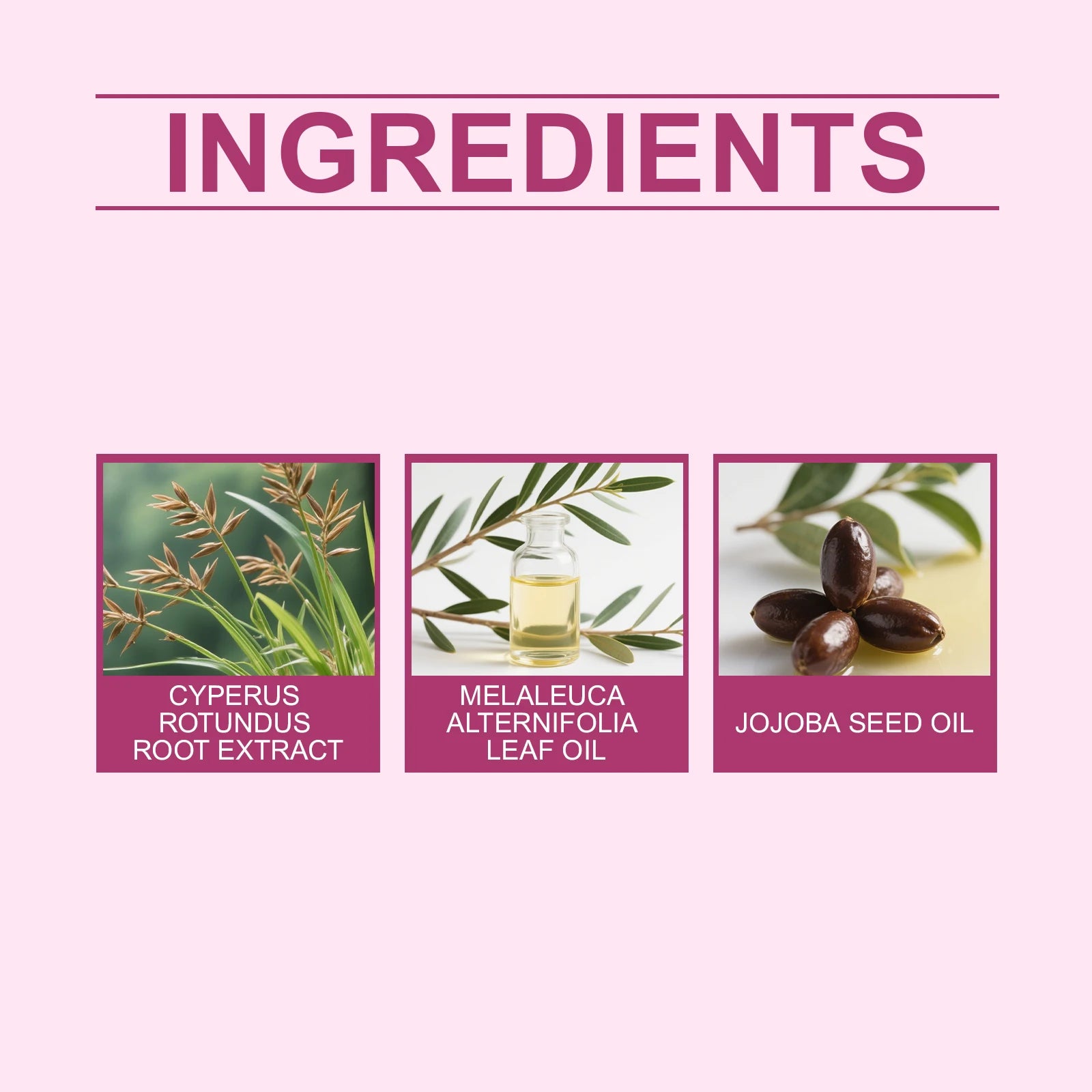 Cyperus Rotundus Oil