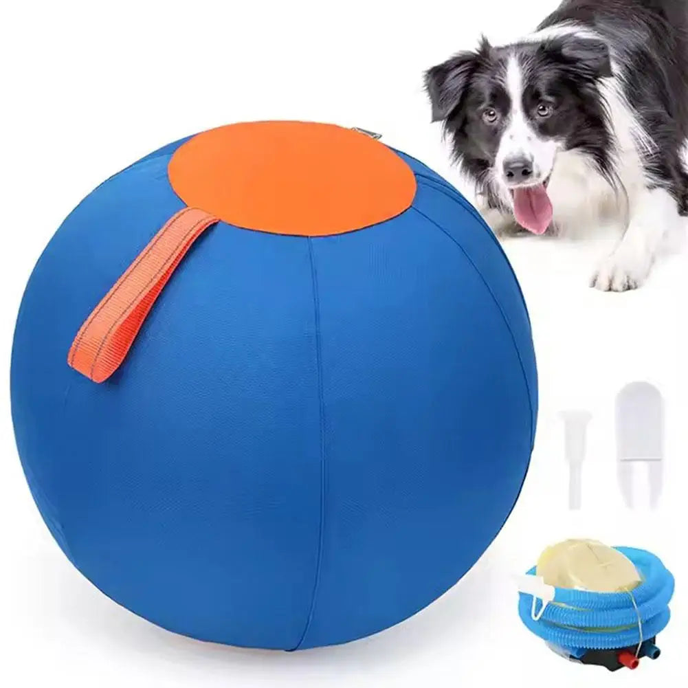 Pet Herding Ball