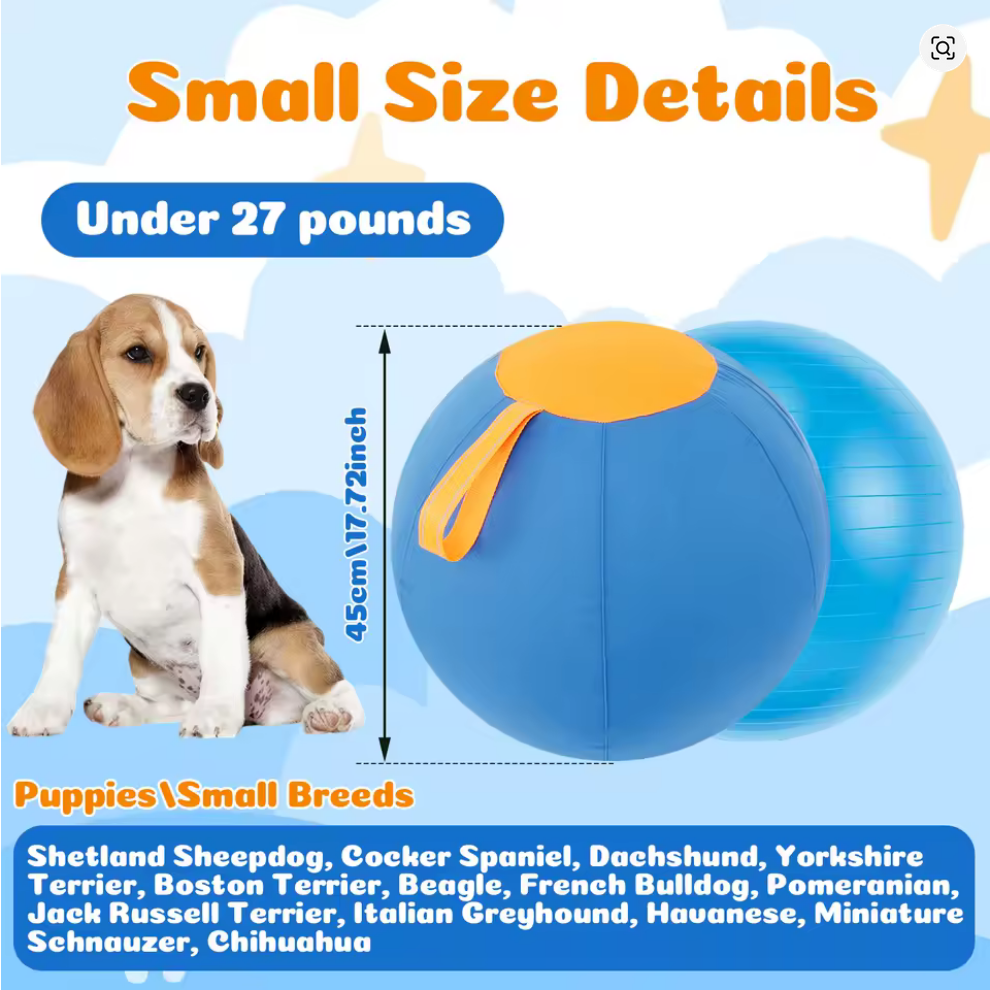 Pet Herding Ball