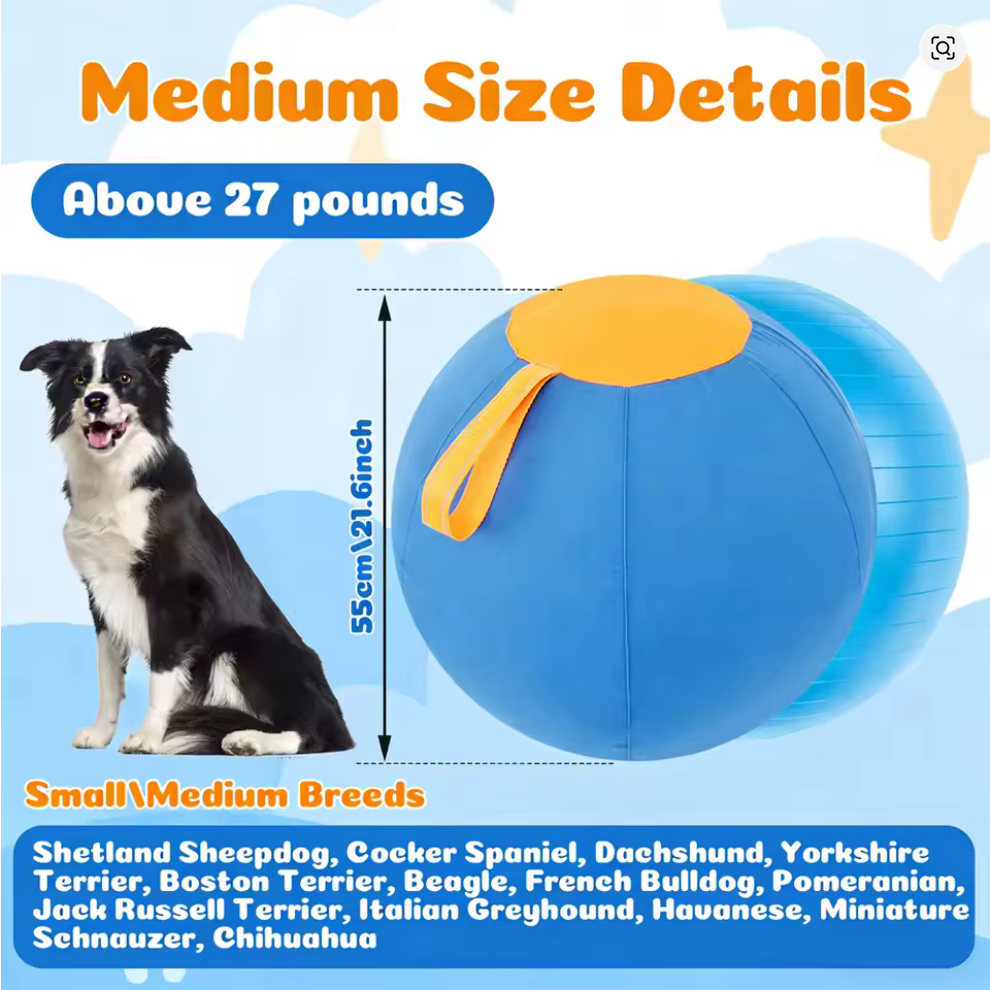 Pet Herding Ball