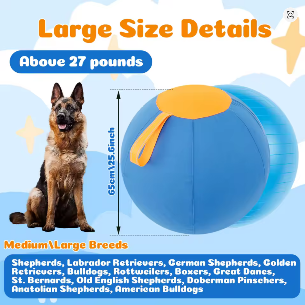 Pet Herding Ball