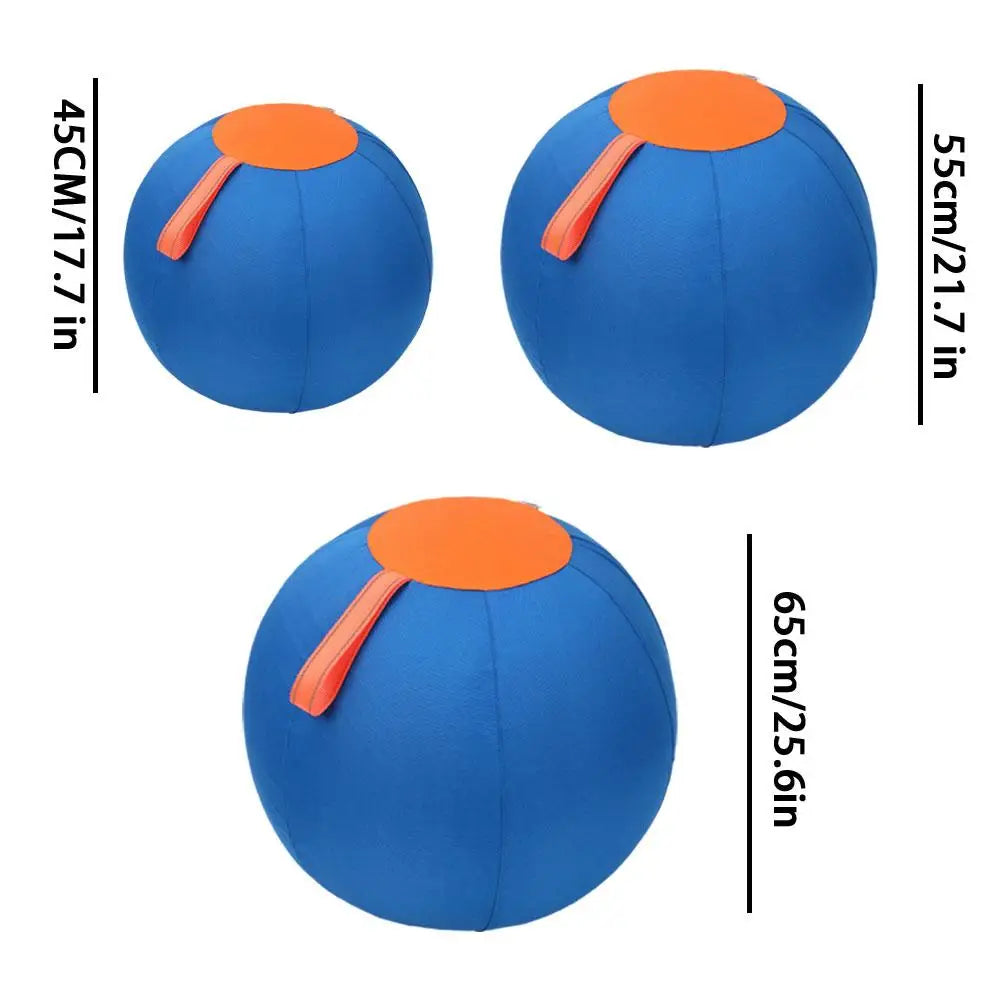Pet Herding Ball
