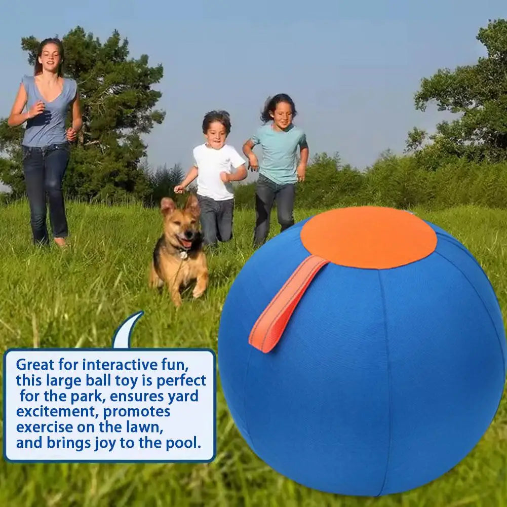 Pet Herding Ball